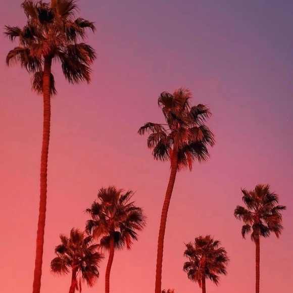 Getting ready to open!! - Picture 2 of 2